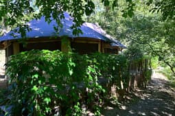 Prehistoric Lodge
