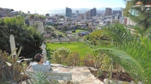 thumbnail: Terrace/patio
