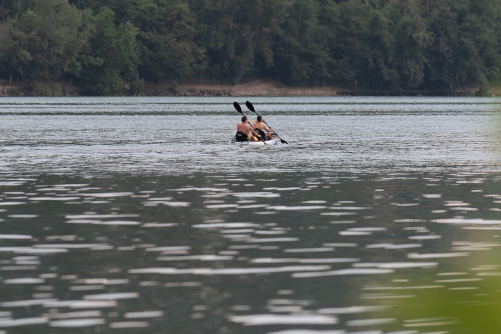 Lake view