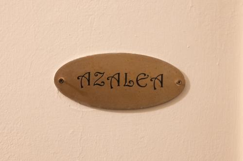 875935254.jpg