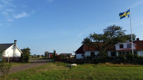 95154257.jpg