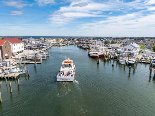 866681084.jpg