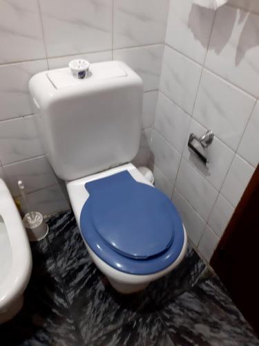 388251231.jpg