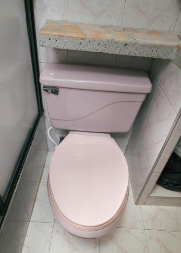 499562202.jpg