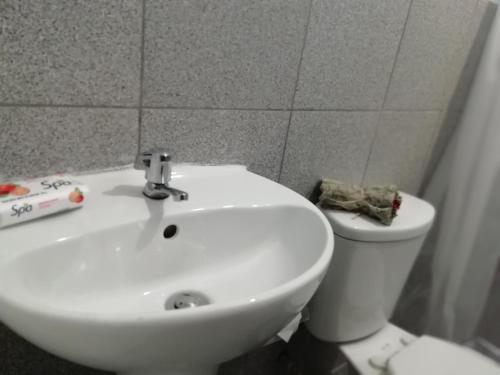 415971207.jpg
