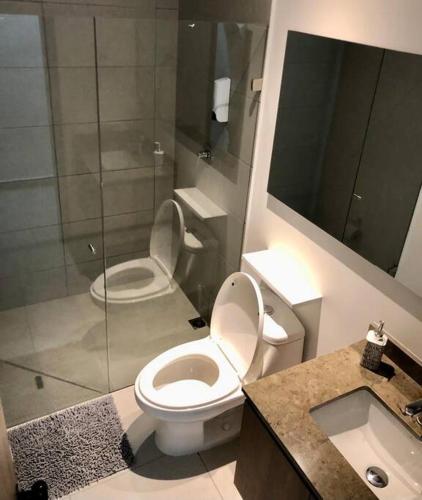 509599118.jpg