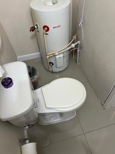 882482376.jpg