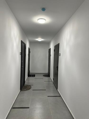 539363152.jpg