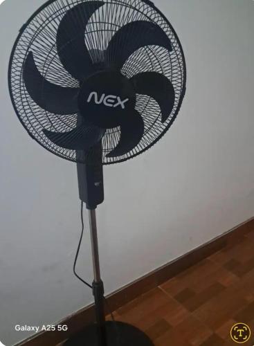 882713125.jpg