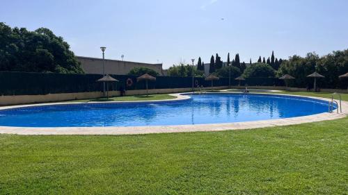 700020610.jpg