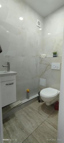 671908375.jpg
