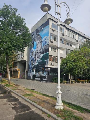 717743829.jpg