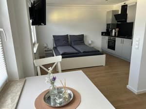 RheinSchatz Apartments 5