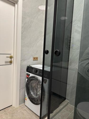 672672775.jpg