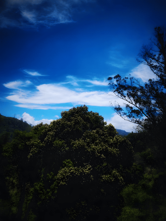 9382425ca1947815d9a4c78459e0082f.png