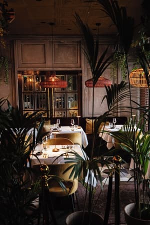 thumbnail: Restaurant