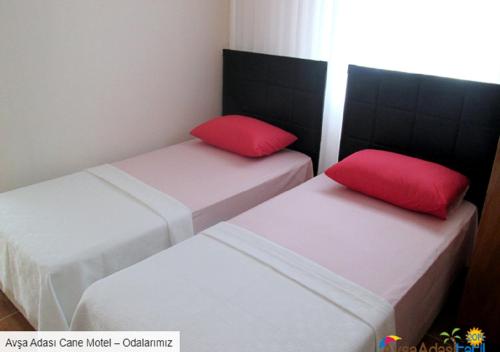 268016802.jpg