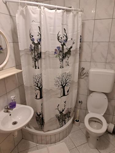 479130768.jpg