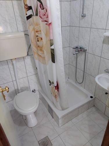 370560236.jpg