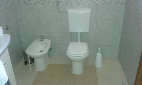 42770742.jpg