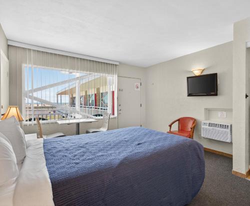 876881829.jpg