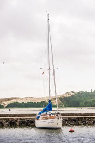 355117726.jpg