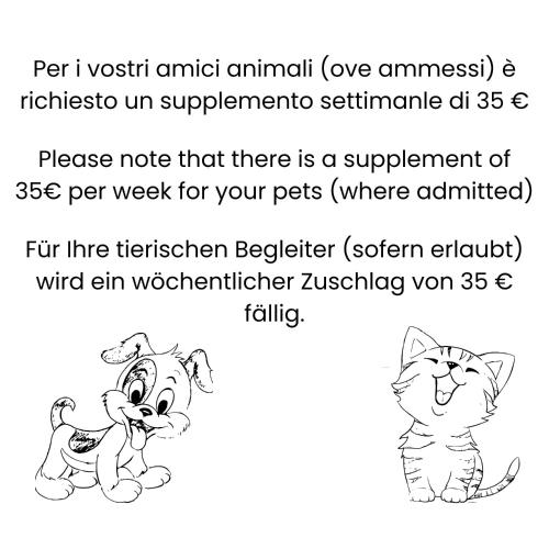 855413191.jpg