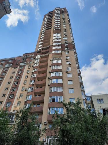 309068699.jpg