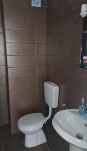 362706978.jpg