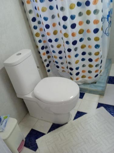 375935055.jpg