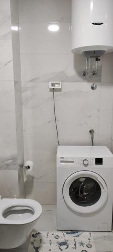 374035053.jpg