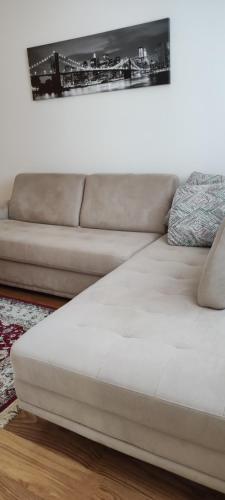 374035014.jpg