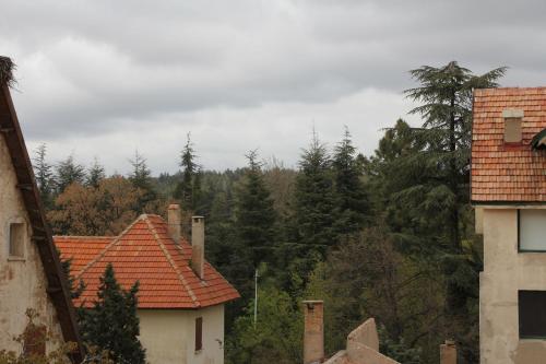 406410318.jpg