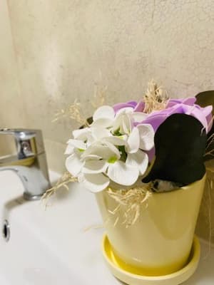 thumbnail: 434201931.jpg