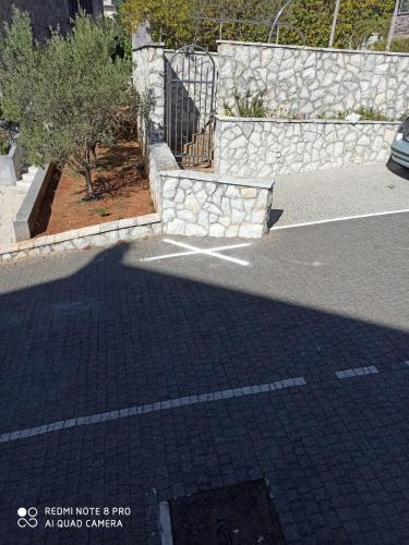 769044022.jpg
