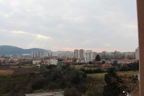 458905206.jpg