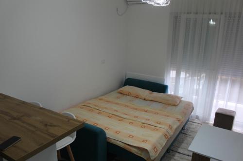 458905190.jpg