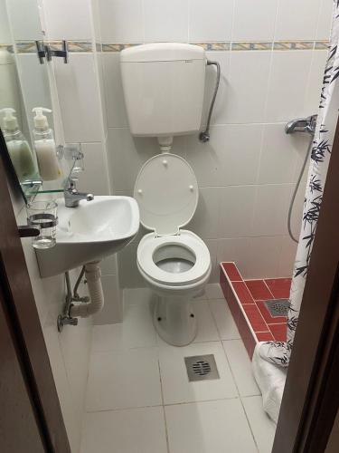 509874027.jpg