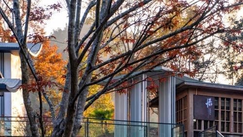 463297387.jpg