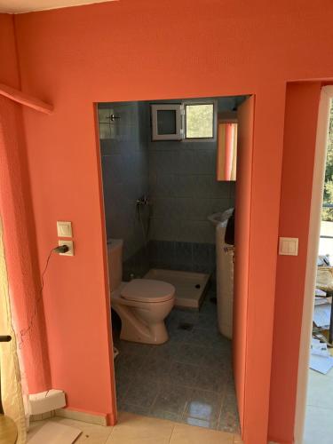 470217761.jpg