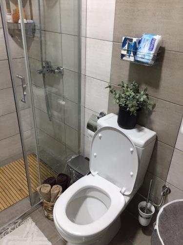 479553756.jpg