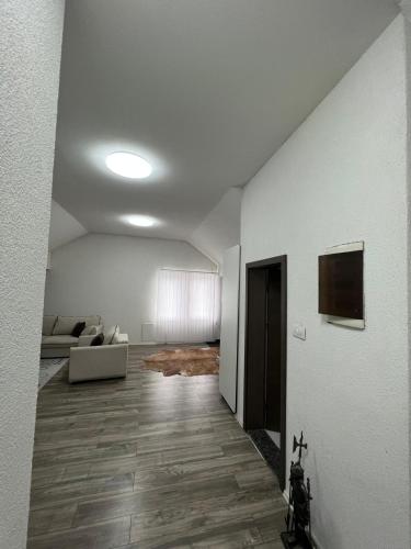 553589488.jpg