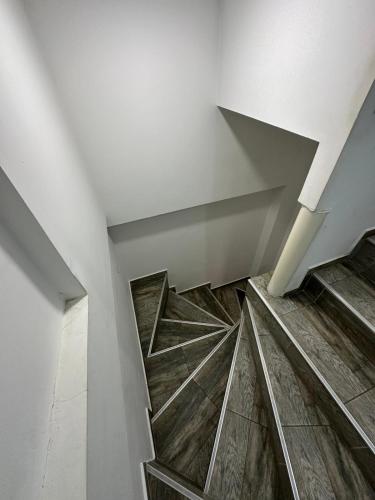 540719380.jpg