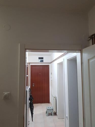 575627493.jpg