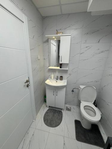 690197139.jpg