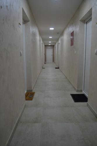 622761239.jpg