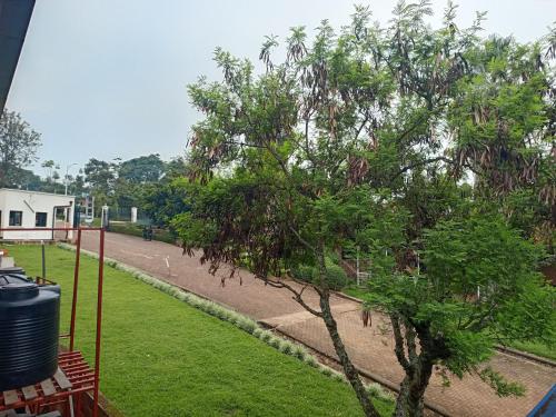 645058703.jpg