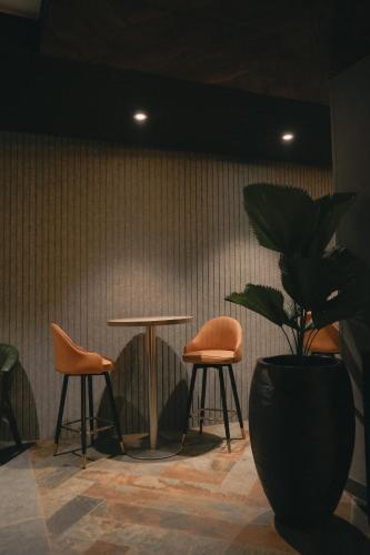 704704900.jpg