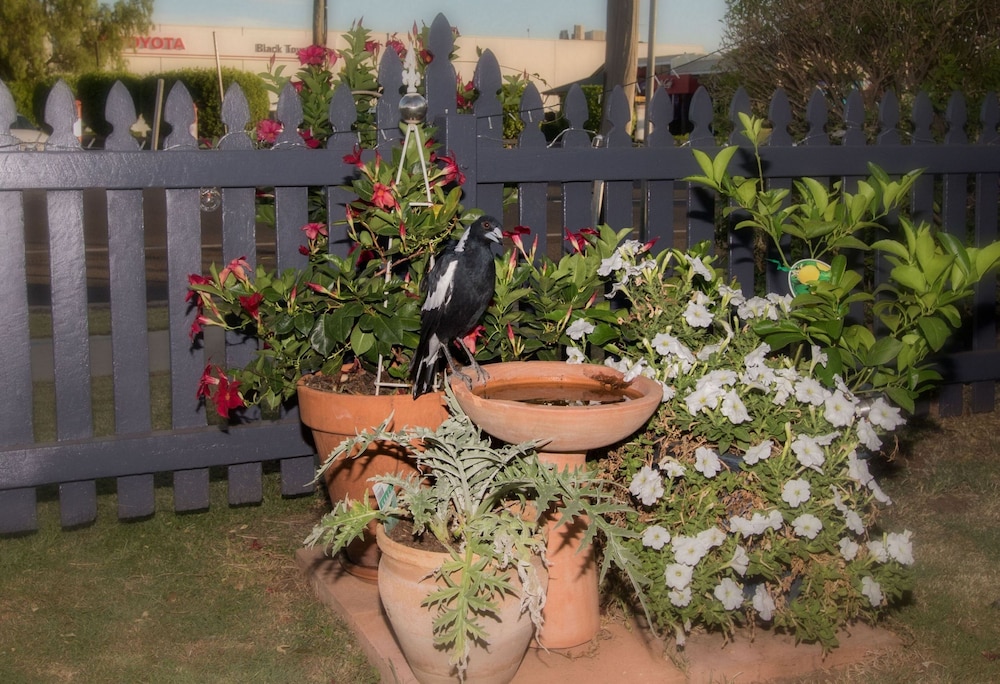 Property amenity