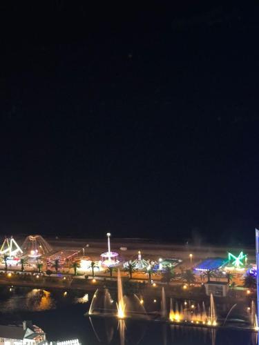 894203024.jpg